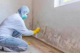 Best Biohazard Mold Removal  in Madison, OH