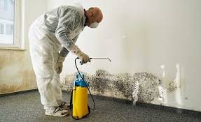 Best Water Damage & Mold Remediation  in Madison, OH